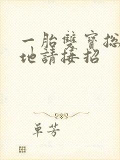 一胎双宝总裁爹地请接招