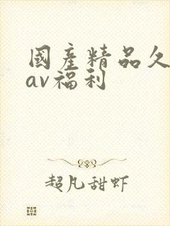 国产精品久久久av福利