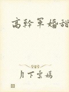 高干军婚甜文