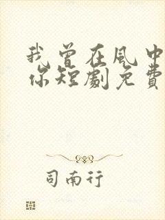 我曾在风中遇见你短剧免费观看封面