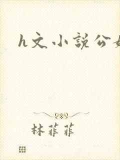 h文小说公媳