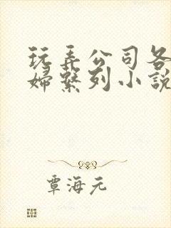 玩弄公司各种美妇系列小说