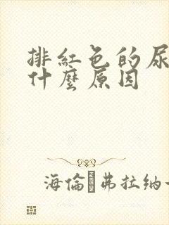 排红色的尿液是什么原因封面