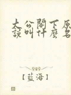 大公阁下原著小说叫什么名字