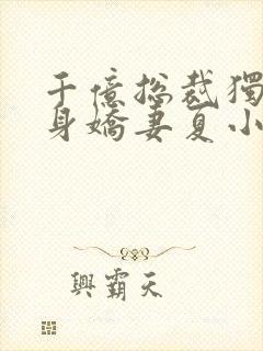 千亿总裁独宠替身娇妻夏小芙封面