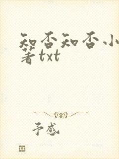 知否知否小说原著txt