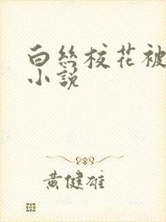 白丝校花被调教小说