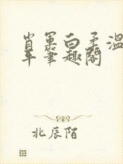 肖军白柔温婉王平笔趣阁封面