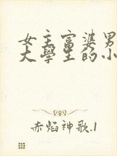 女主富婆男主男大学生的小说