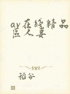 av在线精品一区人妻