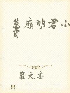 万历明君小说免费