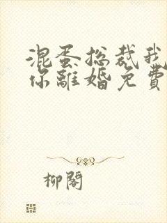 混蛋总裁我要和你离婚免费阅读全文