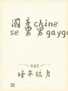 国产chinese 男男gaygay网站