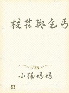 校花与乞丐续写封面