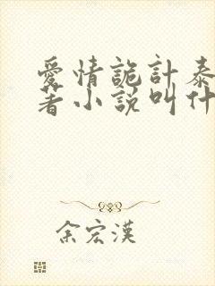 爱情诡计泰剧原著小说叫什么封面