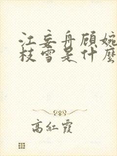 江妄舟顾婉禾宋枝雪是什么小说