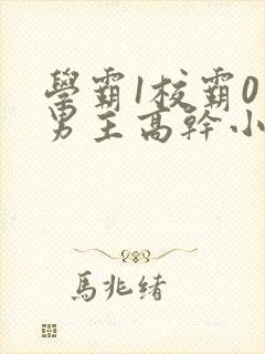 学霸1校霸0双男主高干小说