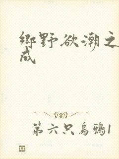 乡野欲潮之林天成封面