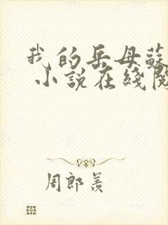 我的岳母苏沛真 小说在线阅读