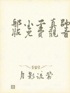 那小子真帅国语版免费观看