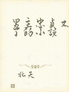 男主忠贞又出轨了的小说