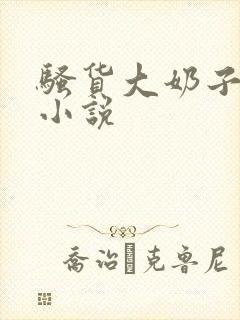 骚货大奶子言情小说封面