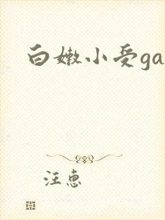 白嫩小受gay