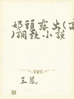 奶头露出(高h)调教小说