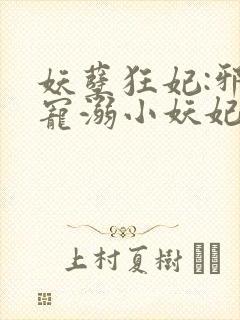 妖孽狂妃:邪君宠溺小妖妃