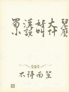 蜀汉好大儿原著小说叫什么名字