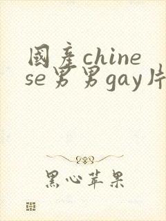 国产chinese男男gay片网站封面