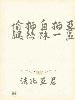 偷拍自拍亚洲美腿丝袜一区二区三区封面