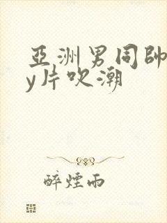 亚洲男同帅gay片吹潮