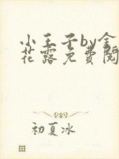 小王子by金银花露免费阅读笔趣阁
