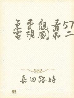 免费观看57集电视剧第二次也很美