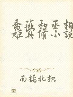 乔薇和丞相大人姬冥修小说免费阅读