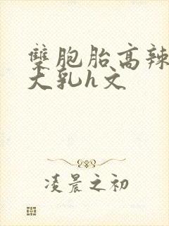 双胞胎高辣h文大乳h文封面