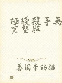 极线杀手无删减完整版封面