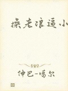 操老浪逼小说