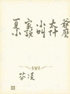 夏家小太爷原著小说叫什么名字