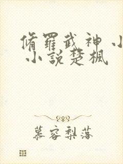 修罗武神 小说 小说楚枫