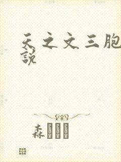 天之文三胞胎小说