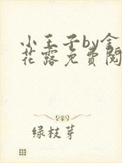 小王子by金银花露免费阅读笔趣阁封面