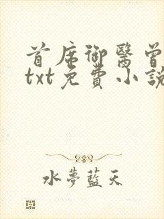 首席御医曾毅 txt免费小说