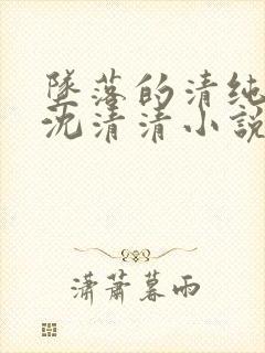 坠落的清纯校花沈清清小说封面