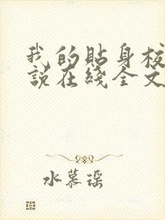 我的贴身校花小说在线全文免费阅读