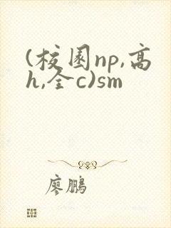 (校园np,高h,全c)sm