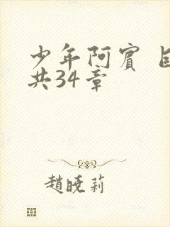 少年阿宾 目录共34章