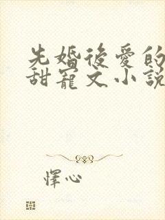 先婚后爱的古言甜宠文小说