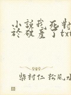 小说我死对头终于破产了txt